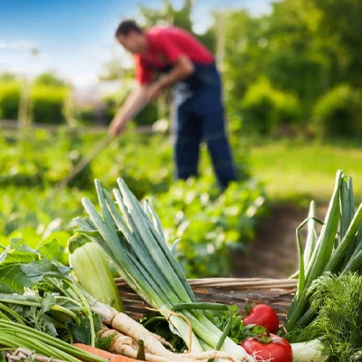 Agriculture biologique